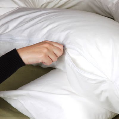 The Total Body Support Pillow 1